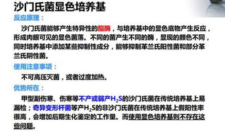 沙门氏菌的食品微生物学检验方法解析与佳发微招办应用探讨