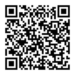 精品大眼泰迪熊微小体 娃娃脸萌宠的健康守护与选购指南