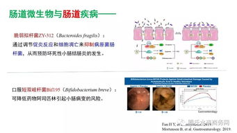 王高学 肠道微生物与动物健康——水产微生态制剂研究应用现状与趋势丨2019水产动保配方师大会报告①